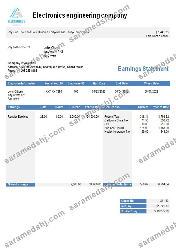 Electronics engineering company earning statement in Word and PDF formats